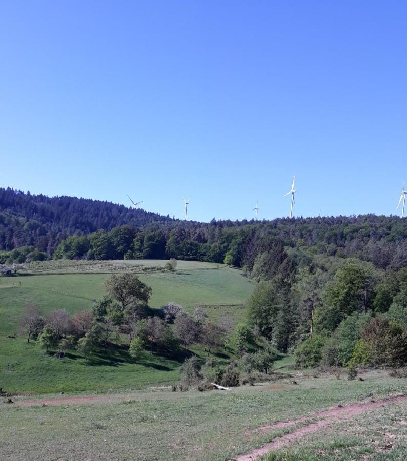 Bergfeldhof Villa Haingrund Exteriör bild